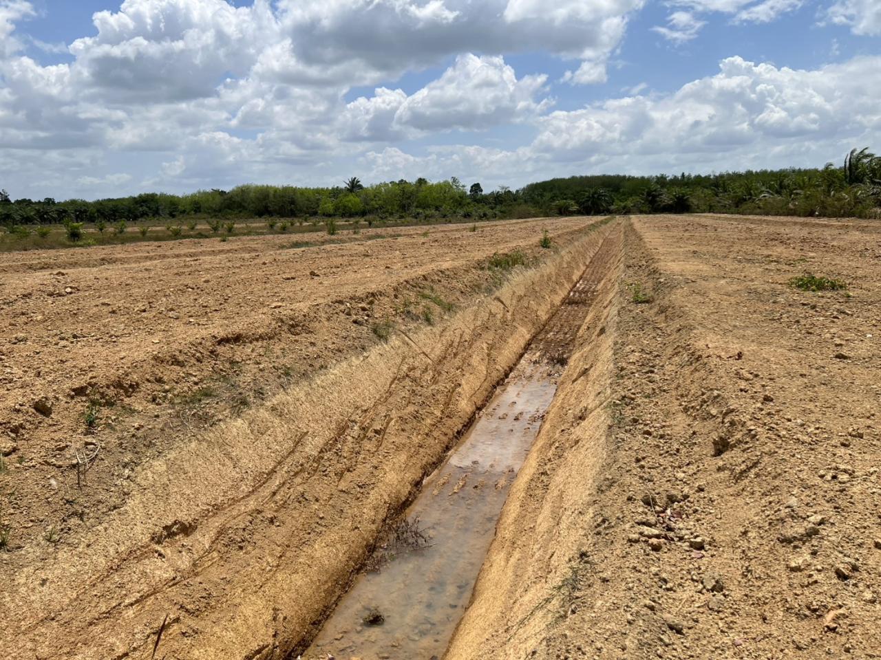 ภาพประกอบที่ 8