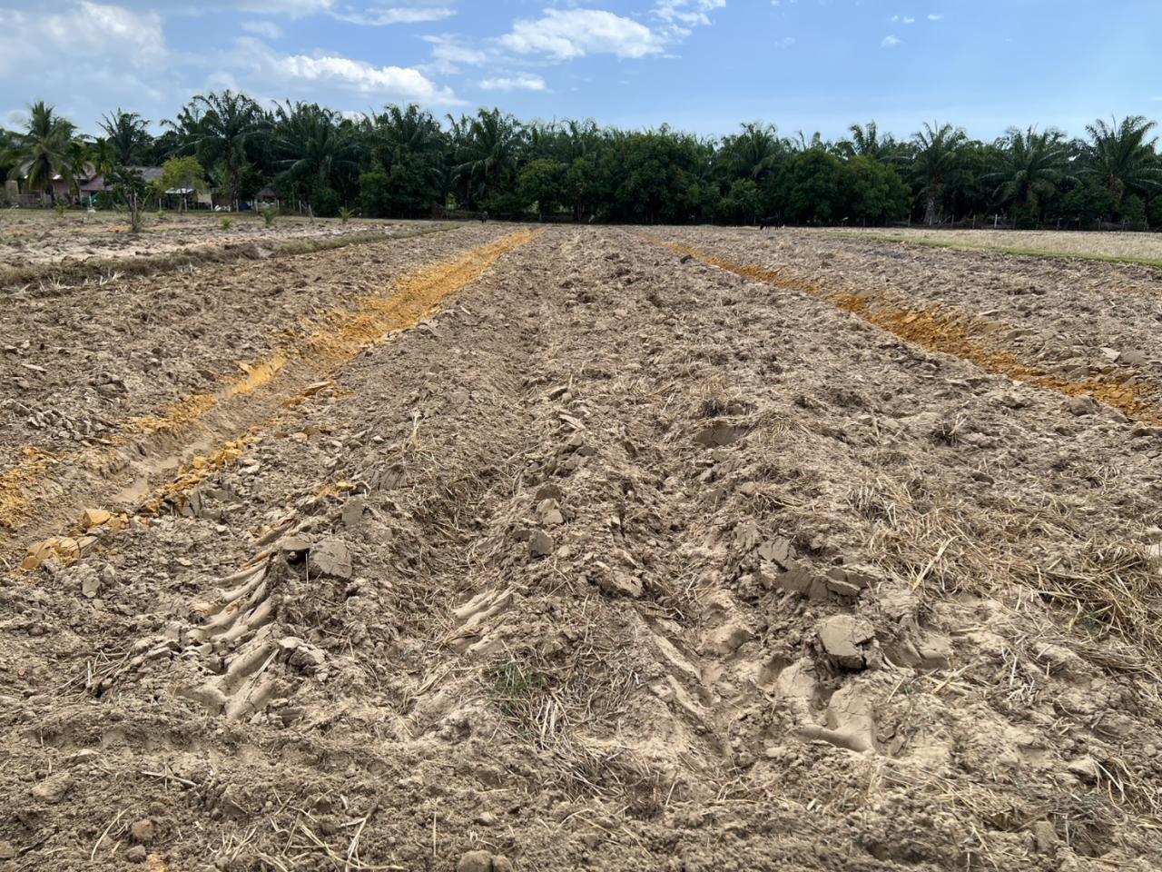 ภาพประกอบที่ 9