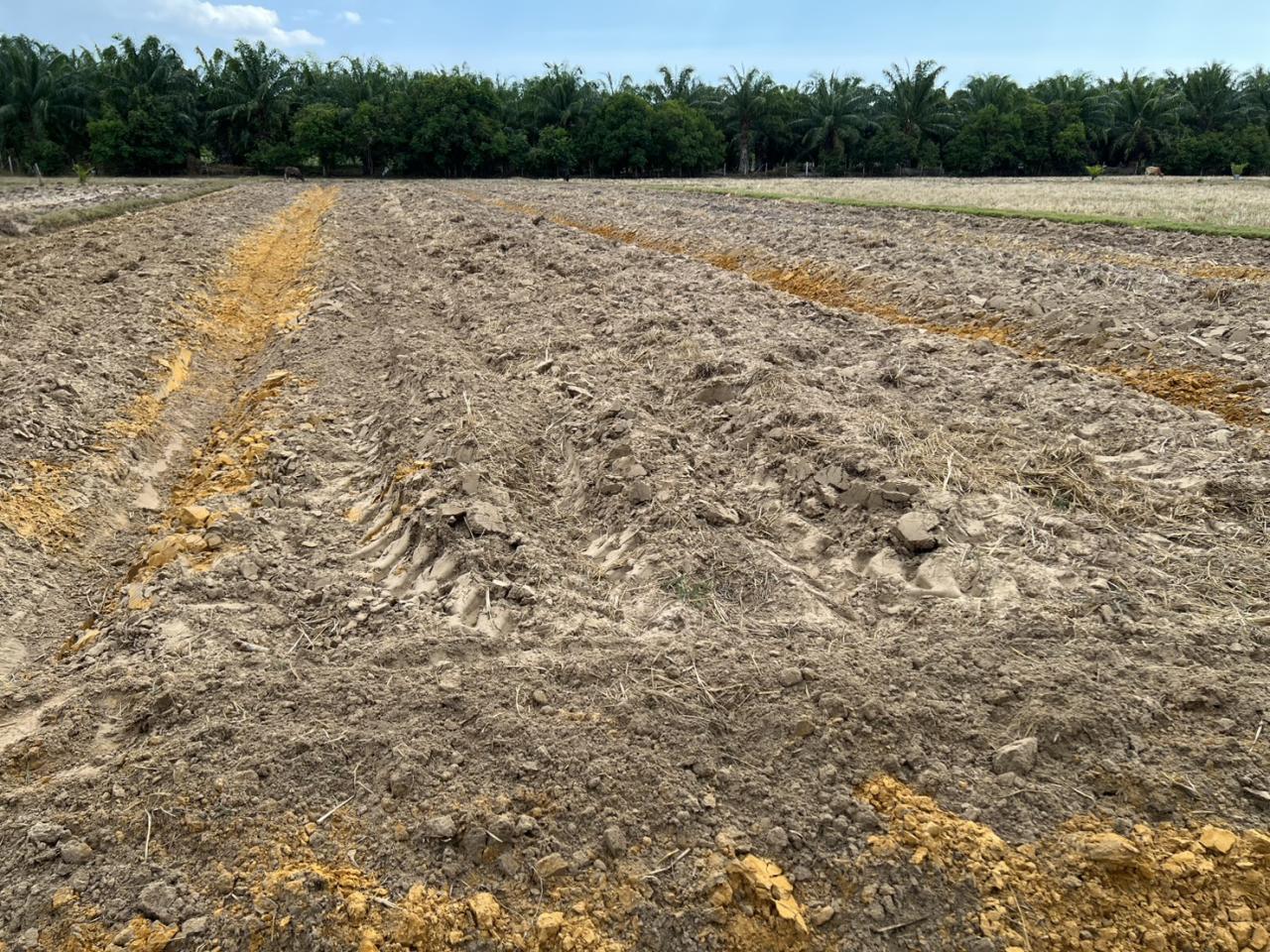 ภาพประกอบที่ 11