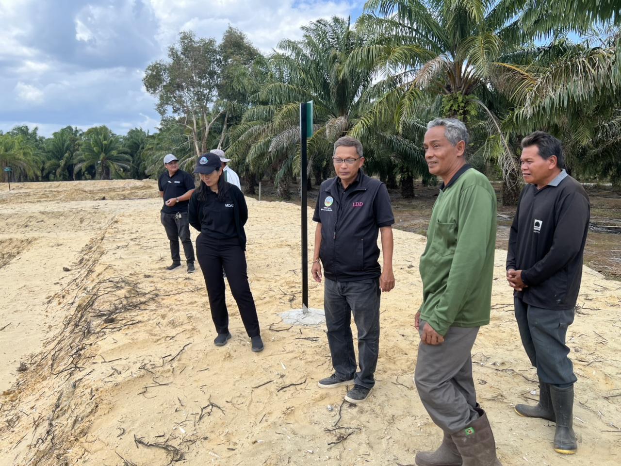 ภาพประกอบที่ 13