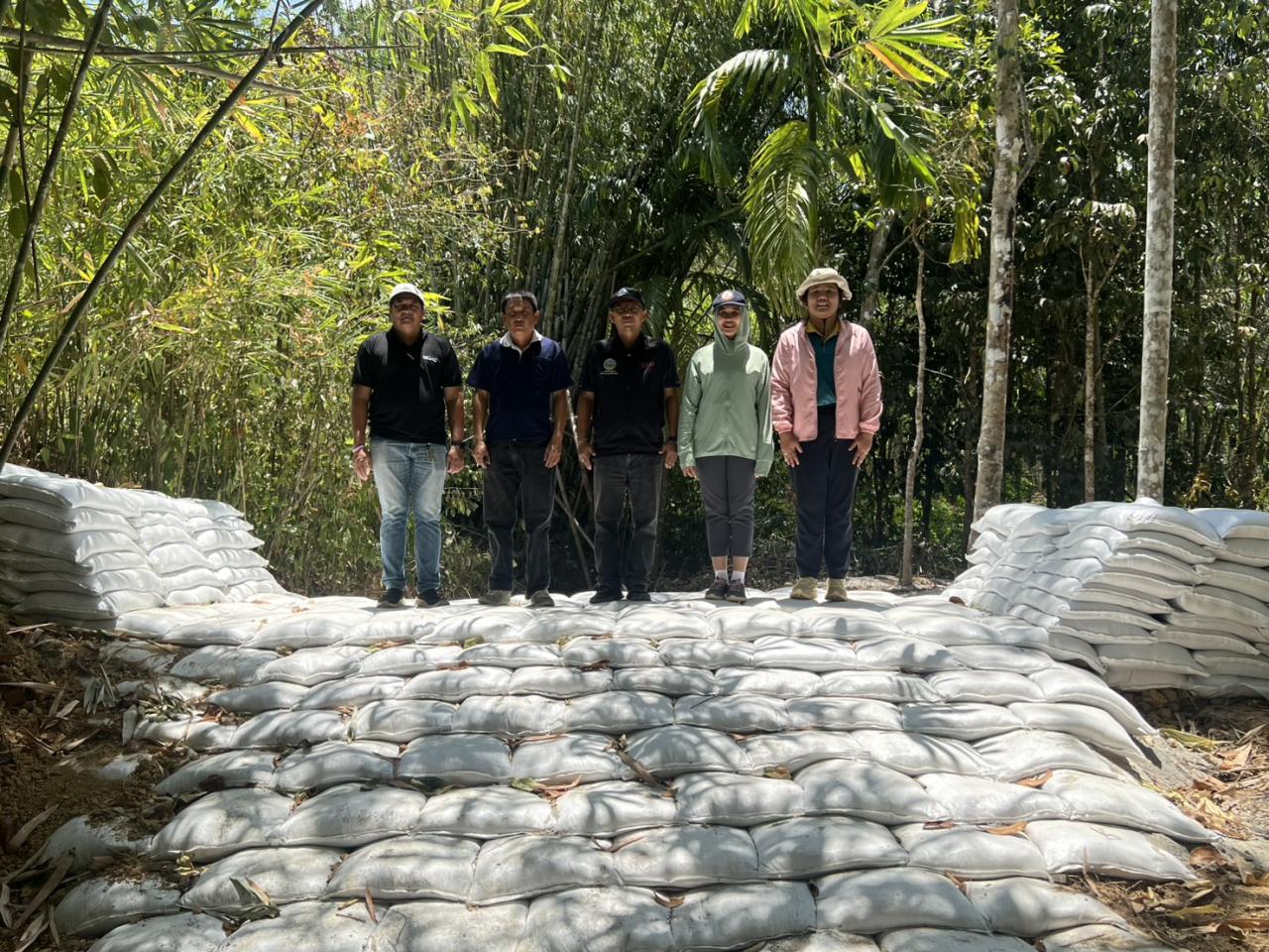 ภาพประกอบที่ 12