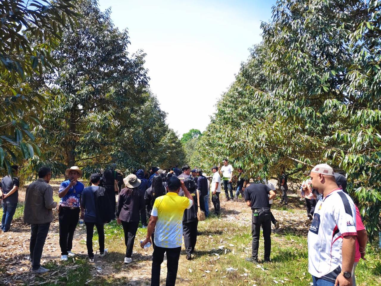 ภาพประกอบที่ 3