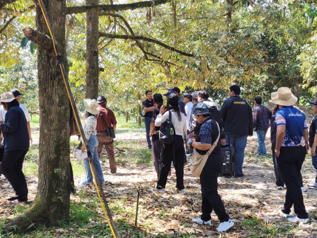 ภาพประกอบที่ 8