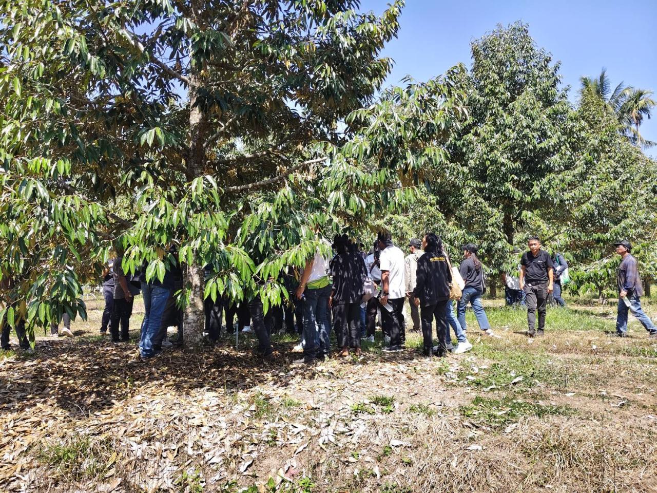 ภาพประกอบที่ 10