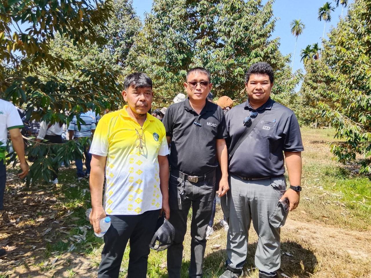 ภาพประกอบที่ 12