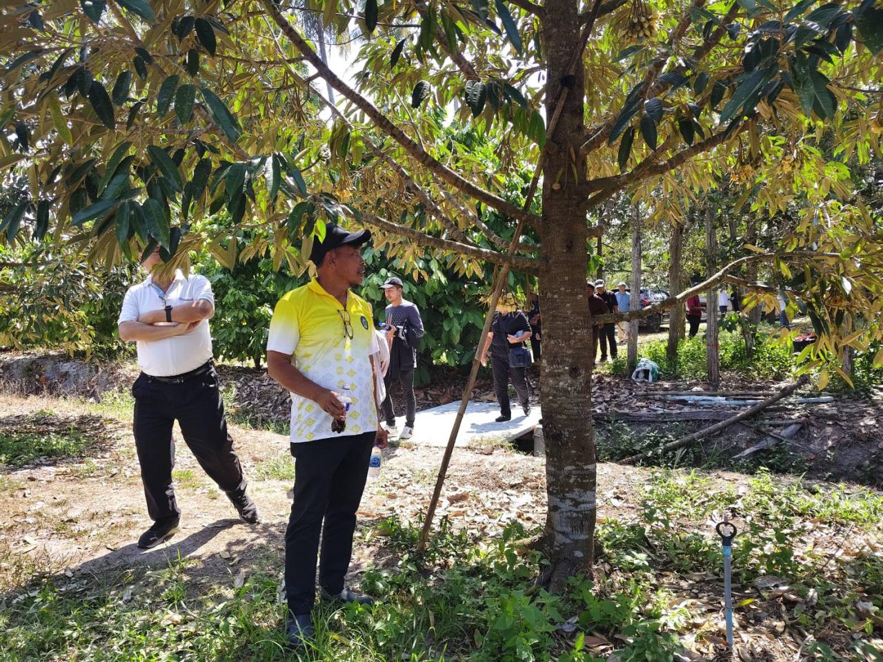 ภาพประกอบที่ 13