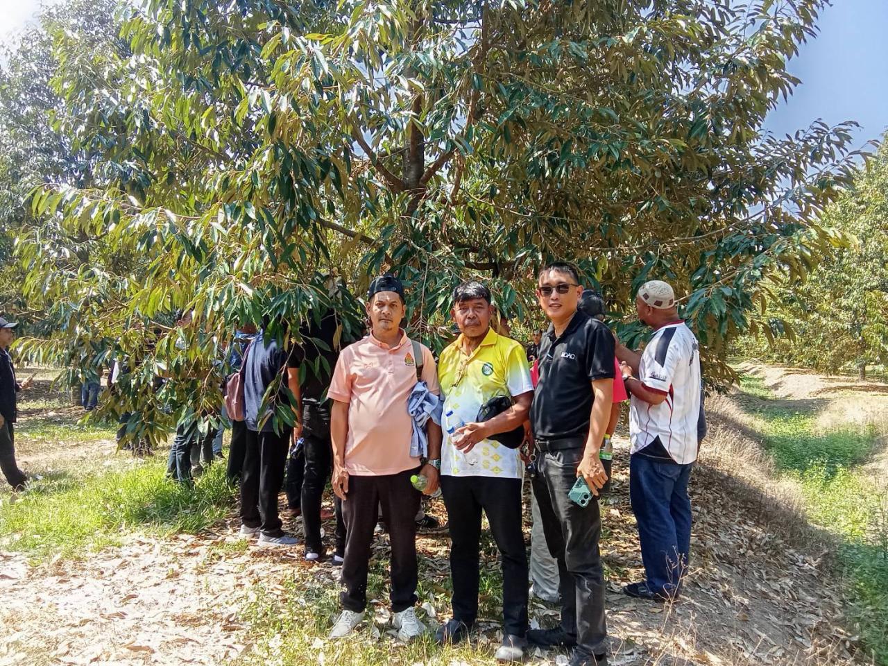 ภาพประกอบที่ 15