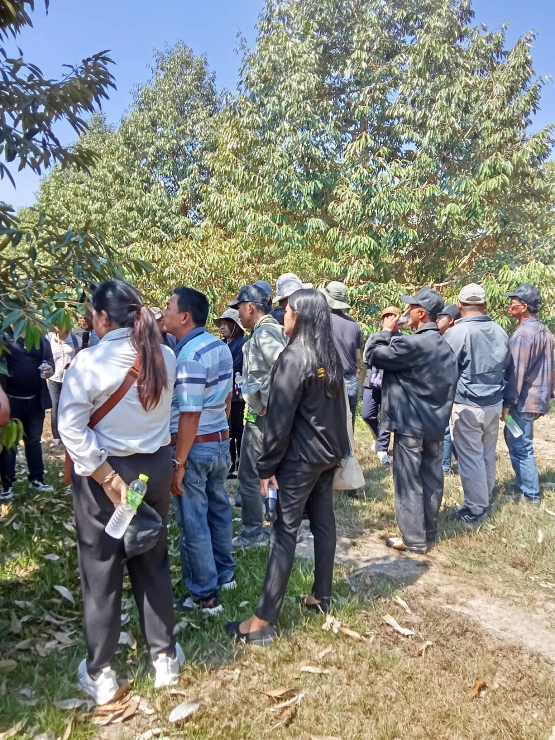 ภาพประกอบที่ 16