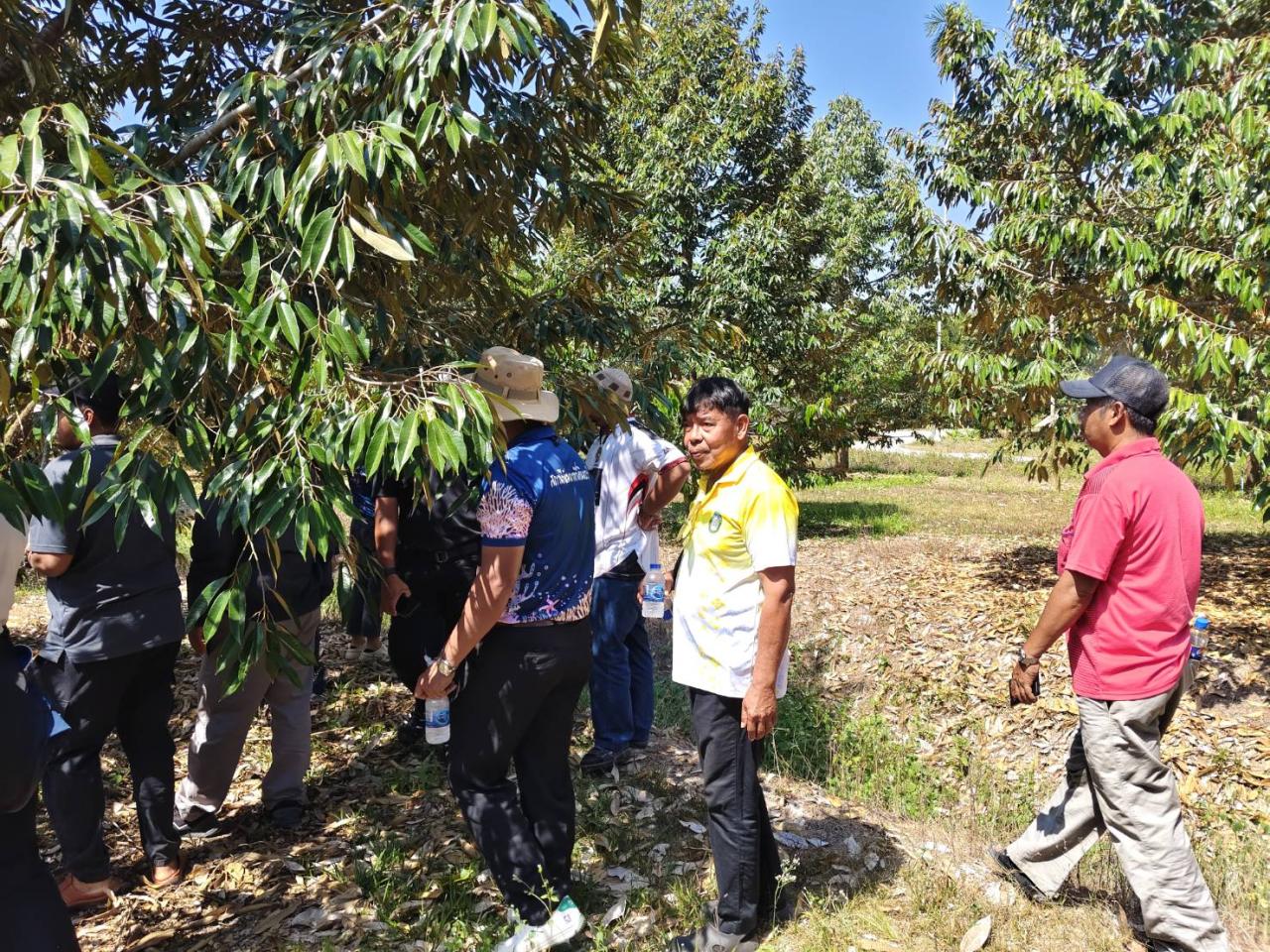 ภาพประกอบที่ 17