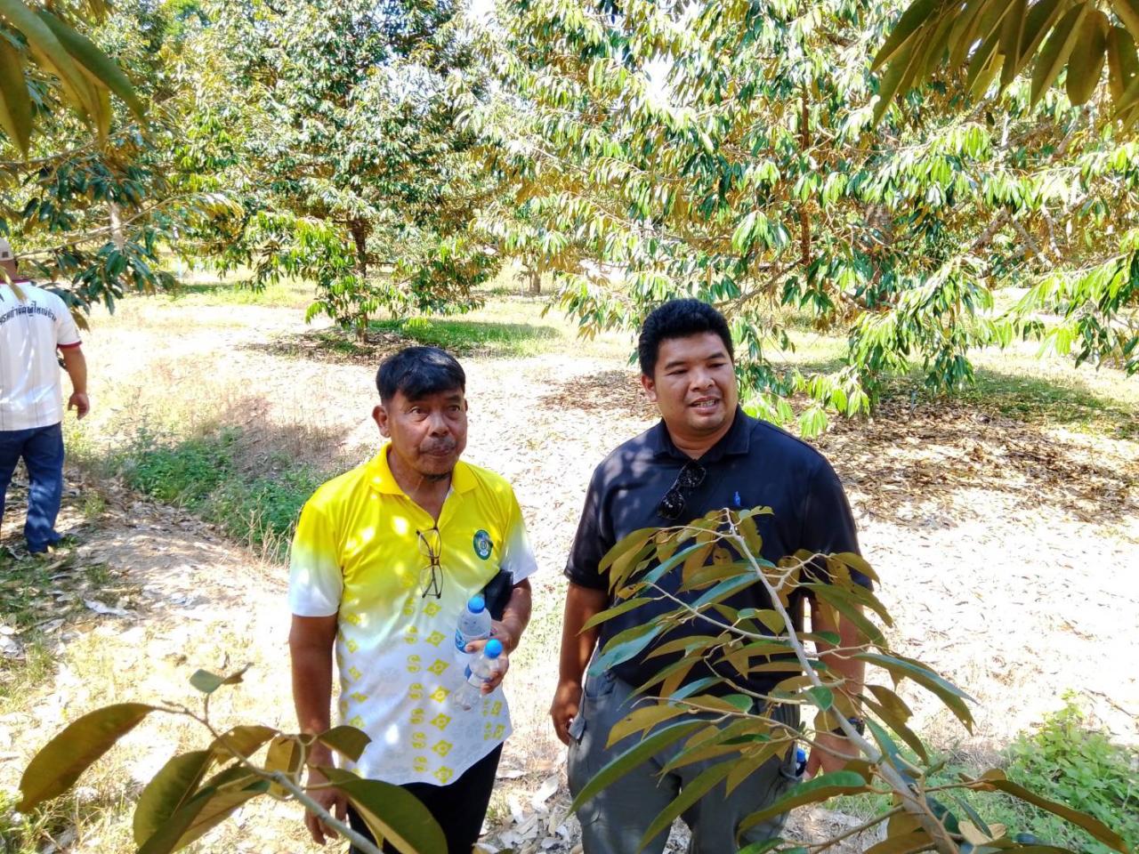 ภาพประกอบที่ 19