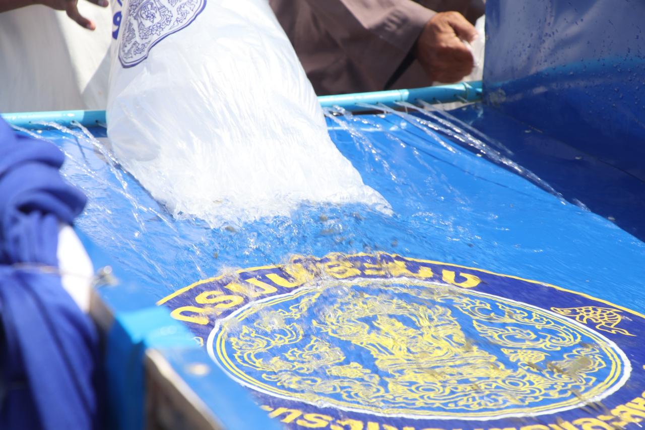 ภาพประกอบที่ 15