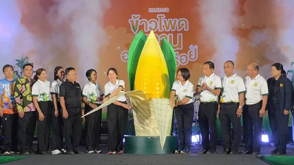 ภาพประกอบที่ 9