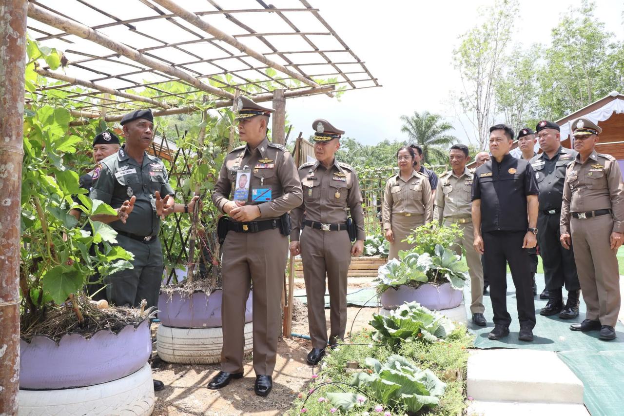 ภาพประกอบที่ 3