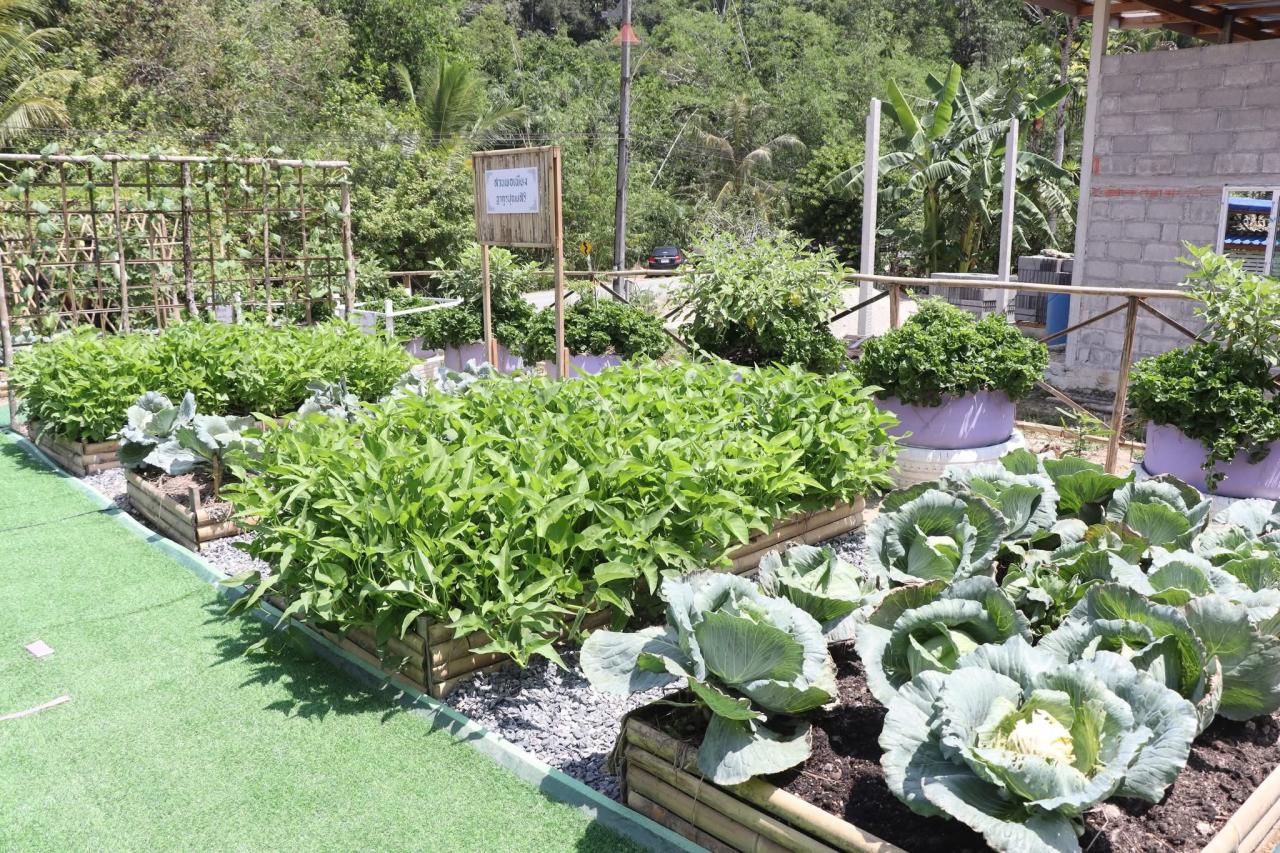 ภาพประกอบที่ 7