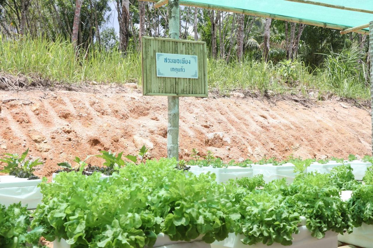 ภาพประกอบที่ 8