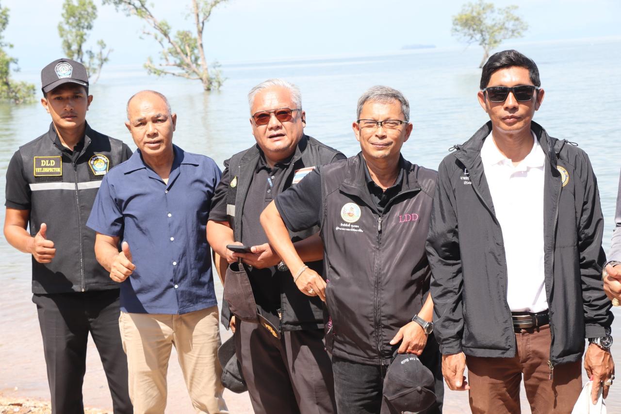 ภาพประกอบที่ 4