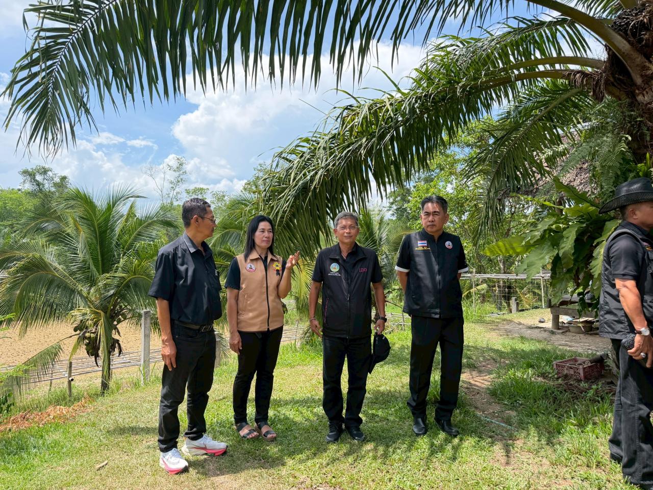 ภาพประกอบที่ 4