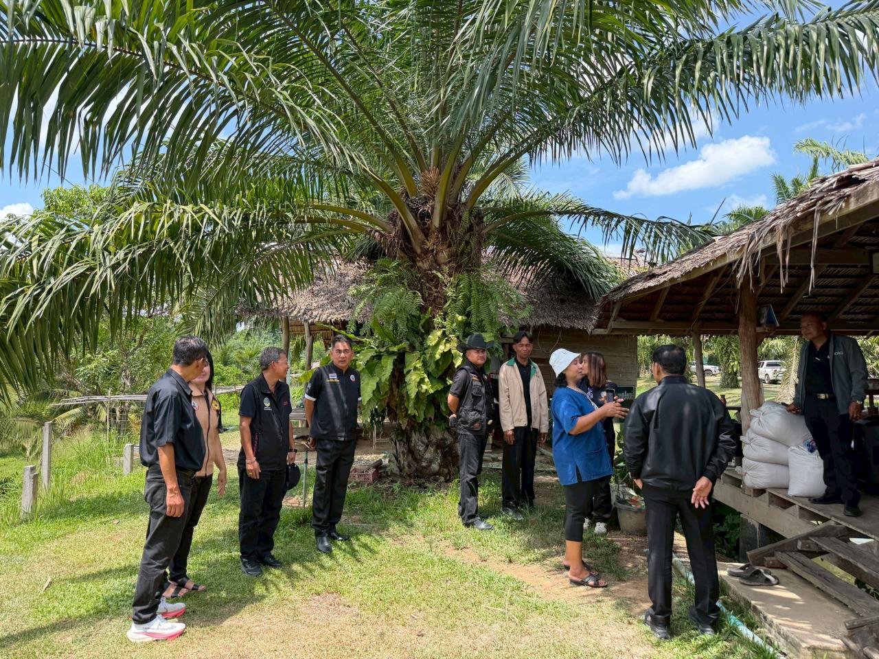 ภาพประกอบที่ 5