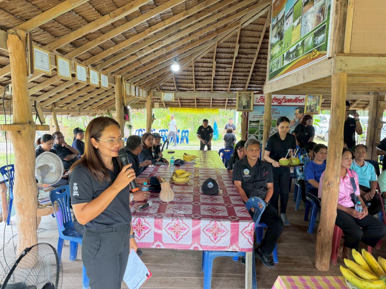 ภาพประกอบที่ 1