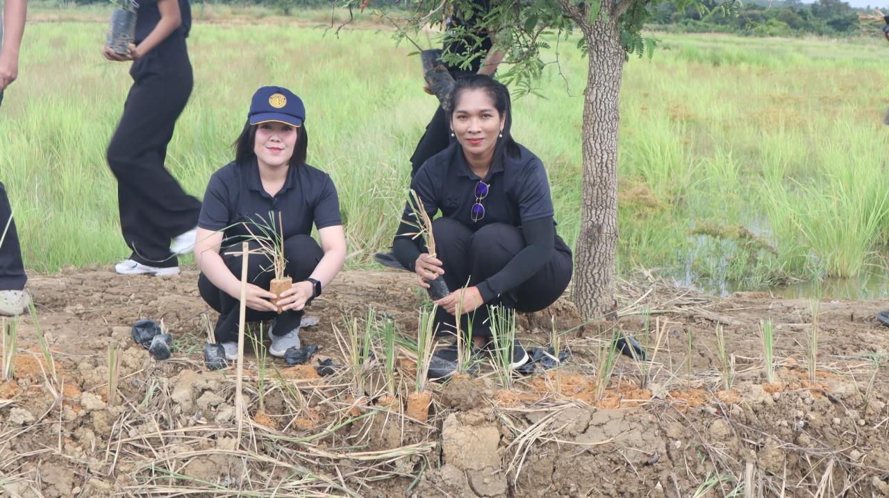 ภาพประกอบที่ 8