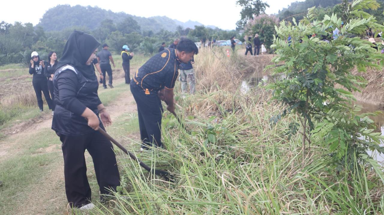 ภาพประกอบที่ 12