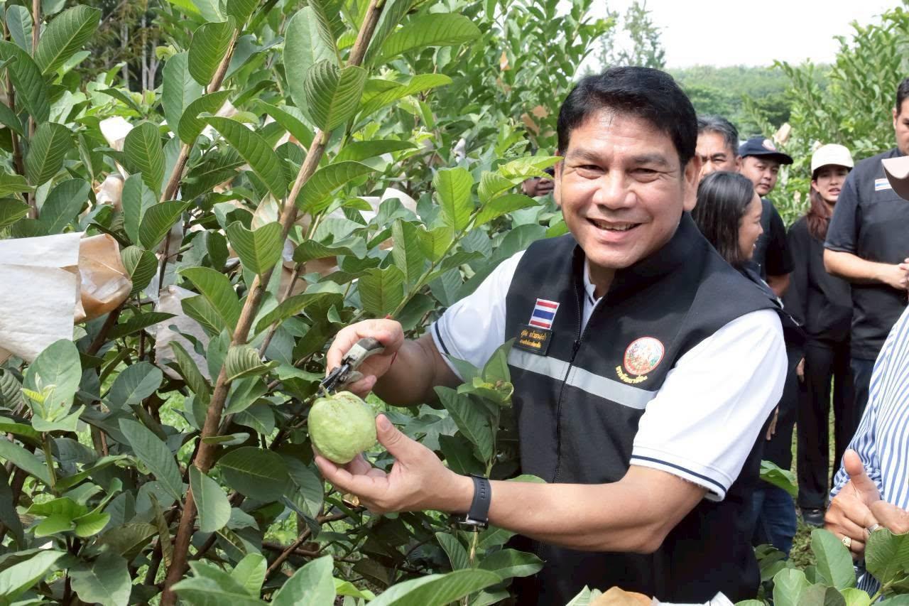 ภาพประกอบที่ 13