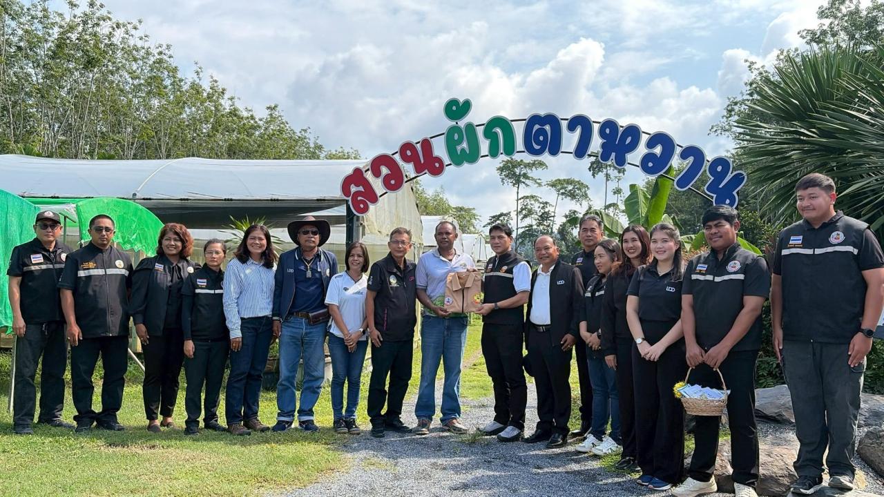 ภาพประกอบที่ 17
