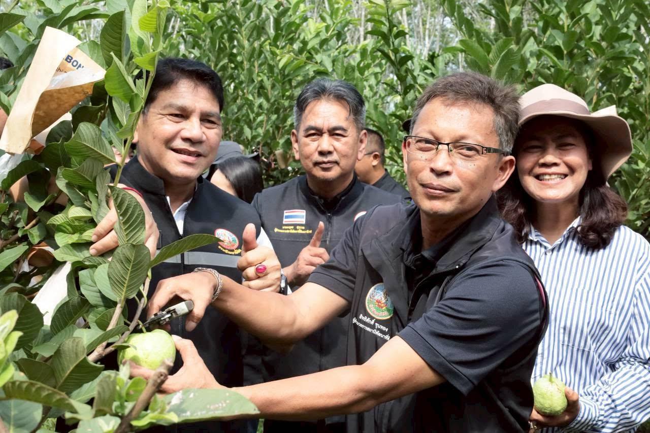 ภาพประกอบที่ 22