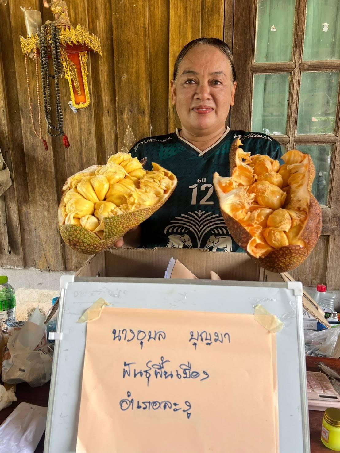 ภาพประกอบที่ 1