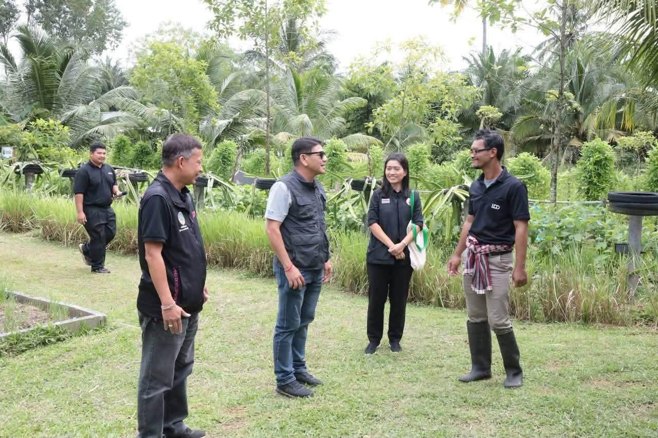 ภาพประกอบที่ 32