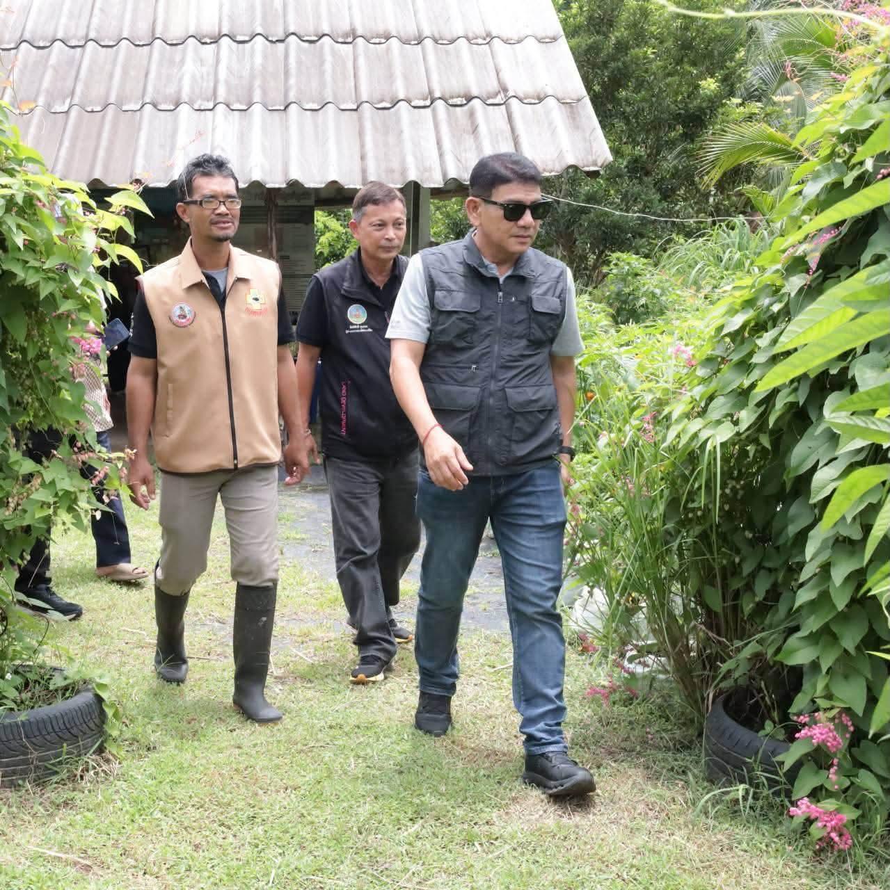 ภาพประกอบที่ 34