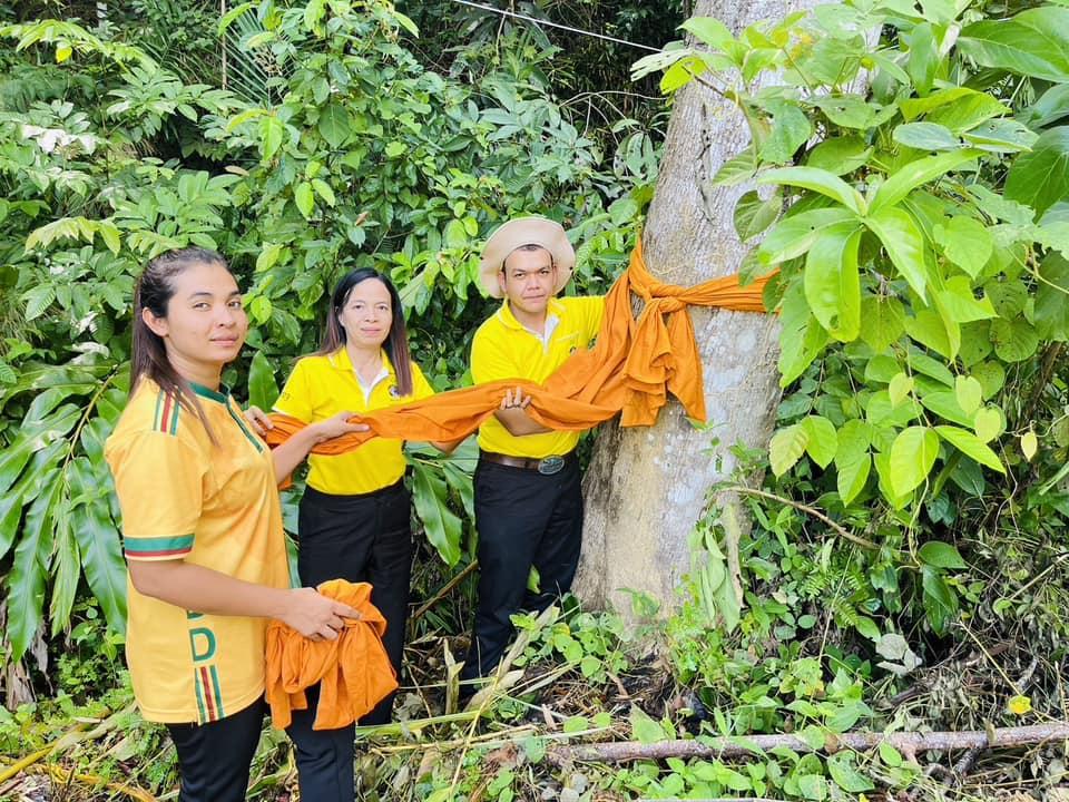 ภาพประกอบที่ 2