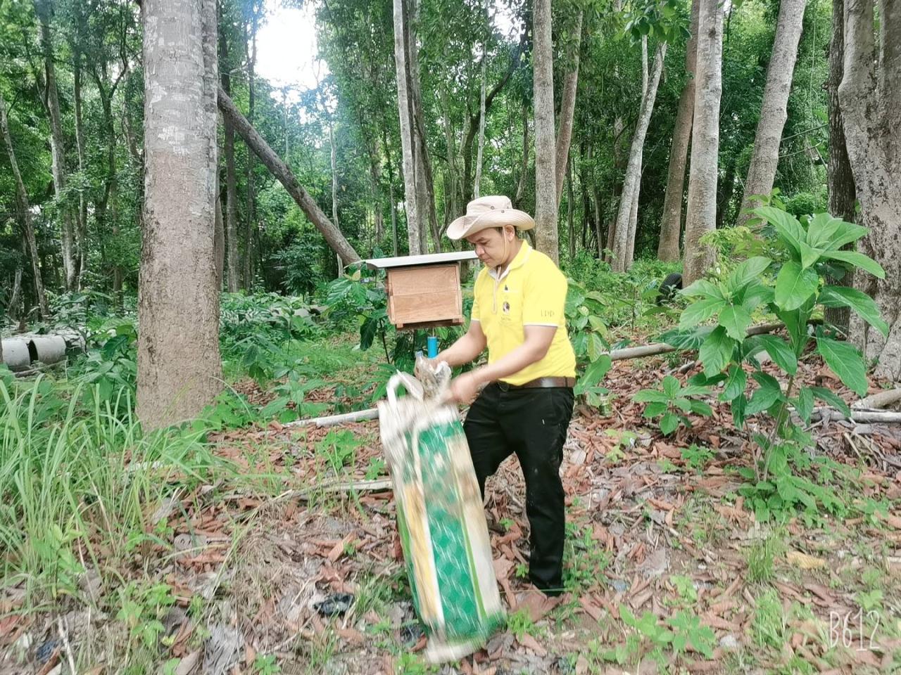 ภาพประกอบที่ 4