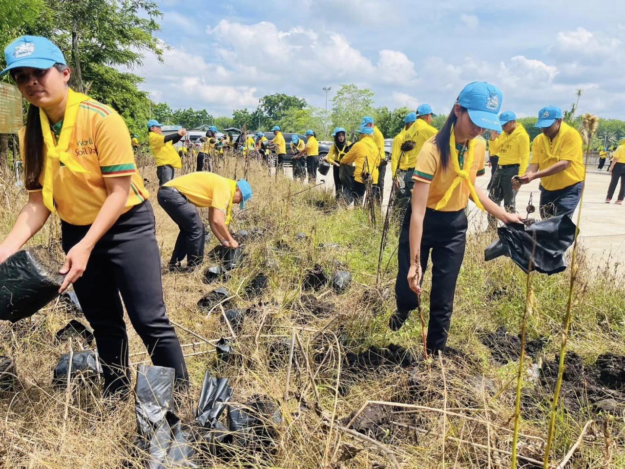 ภาพประกอบที่ 4