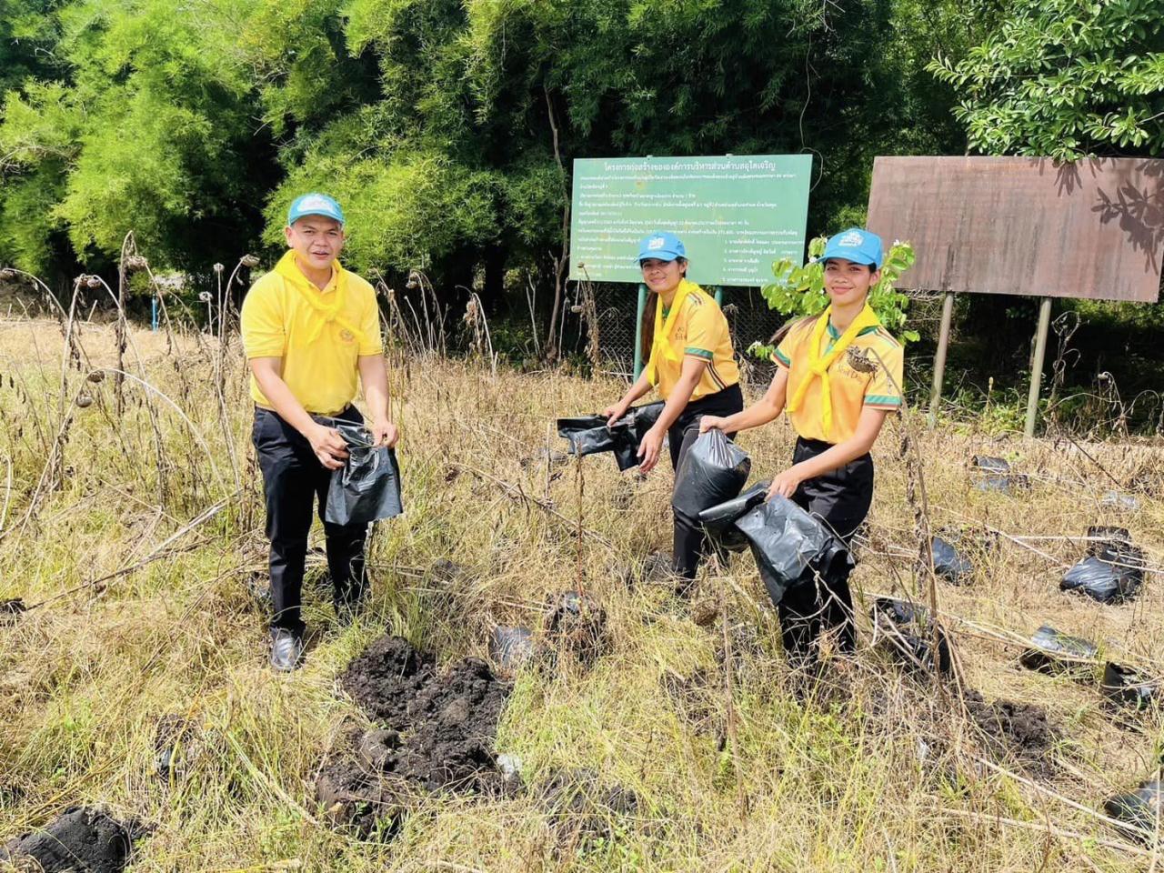 ภาพประกอบที่ 5