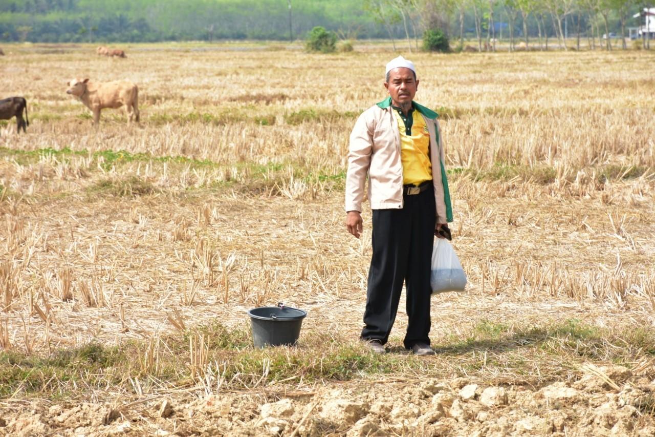 ภาพประกอบที่ 10