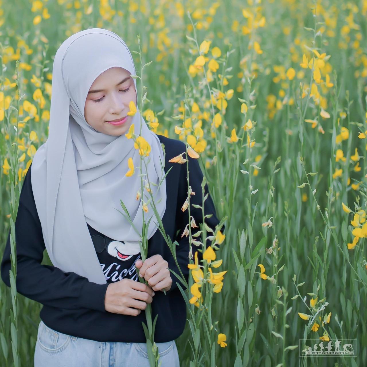 ภาพประกอบที่ 11