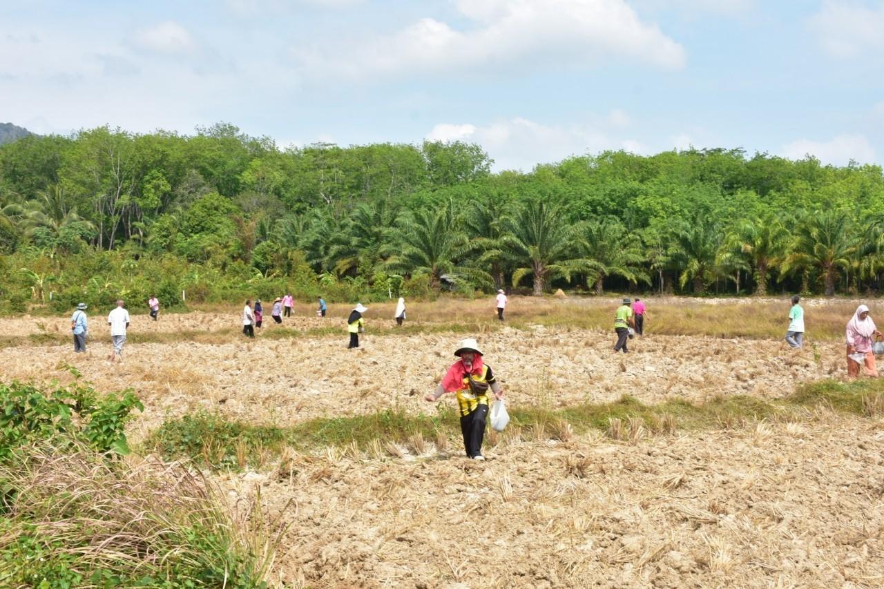 ภาพประกอบที่ 13