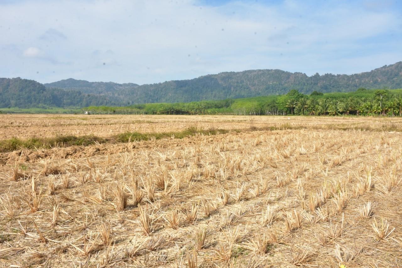 ภาพประกอบที่ 14
