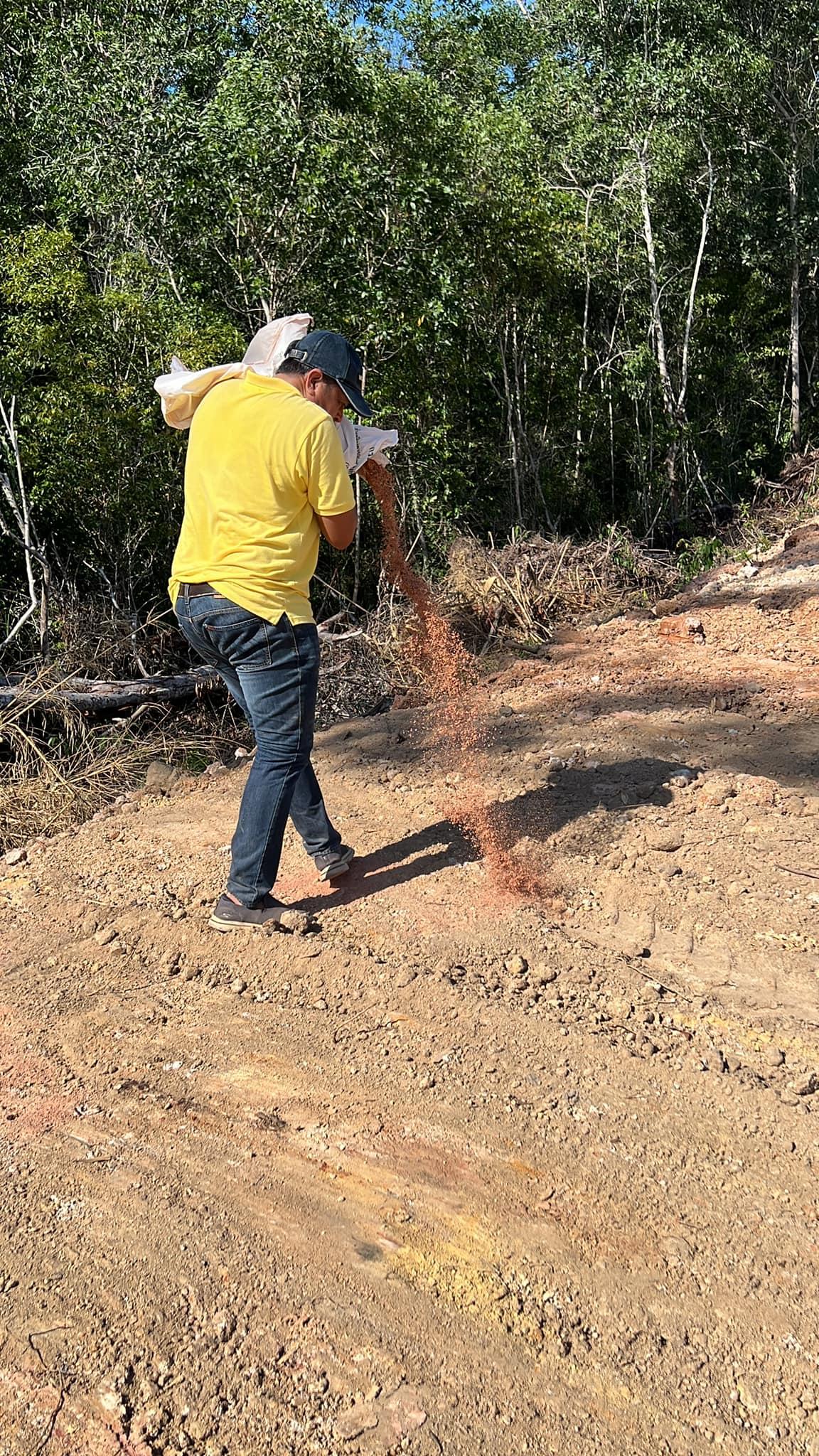 ภาพประกอบที่ 0