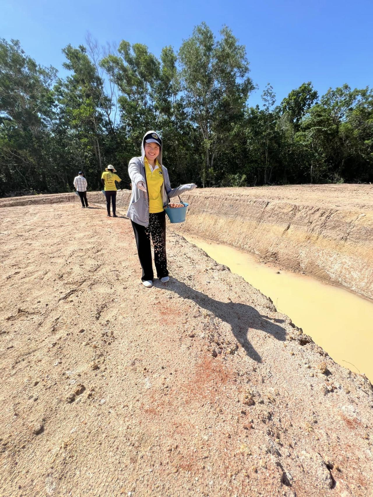 ภาพประกอบที่ 6