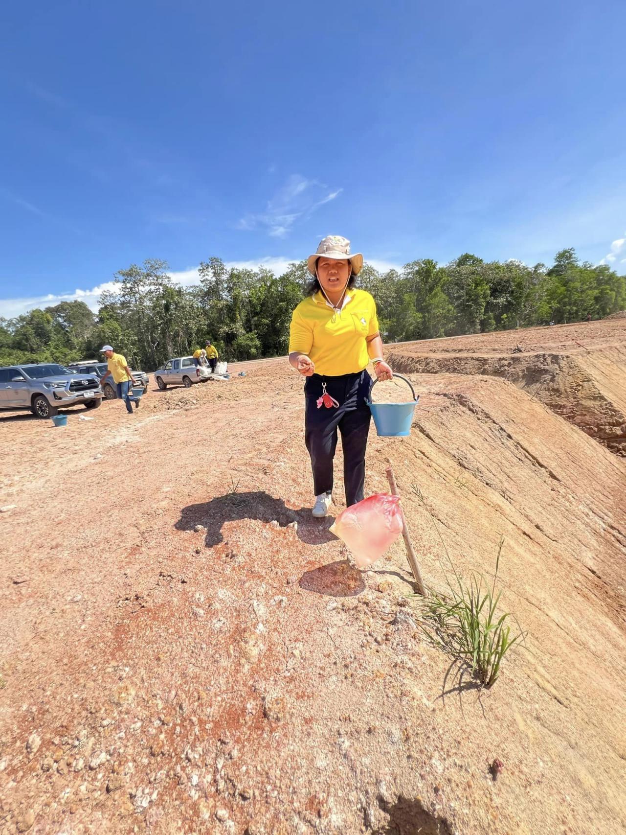 ภาพประกอบที่ 7