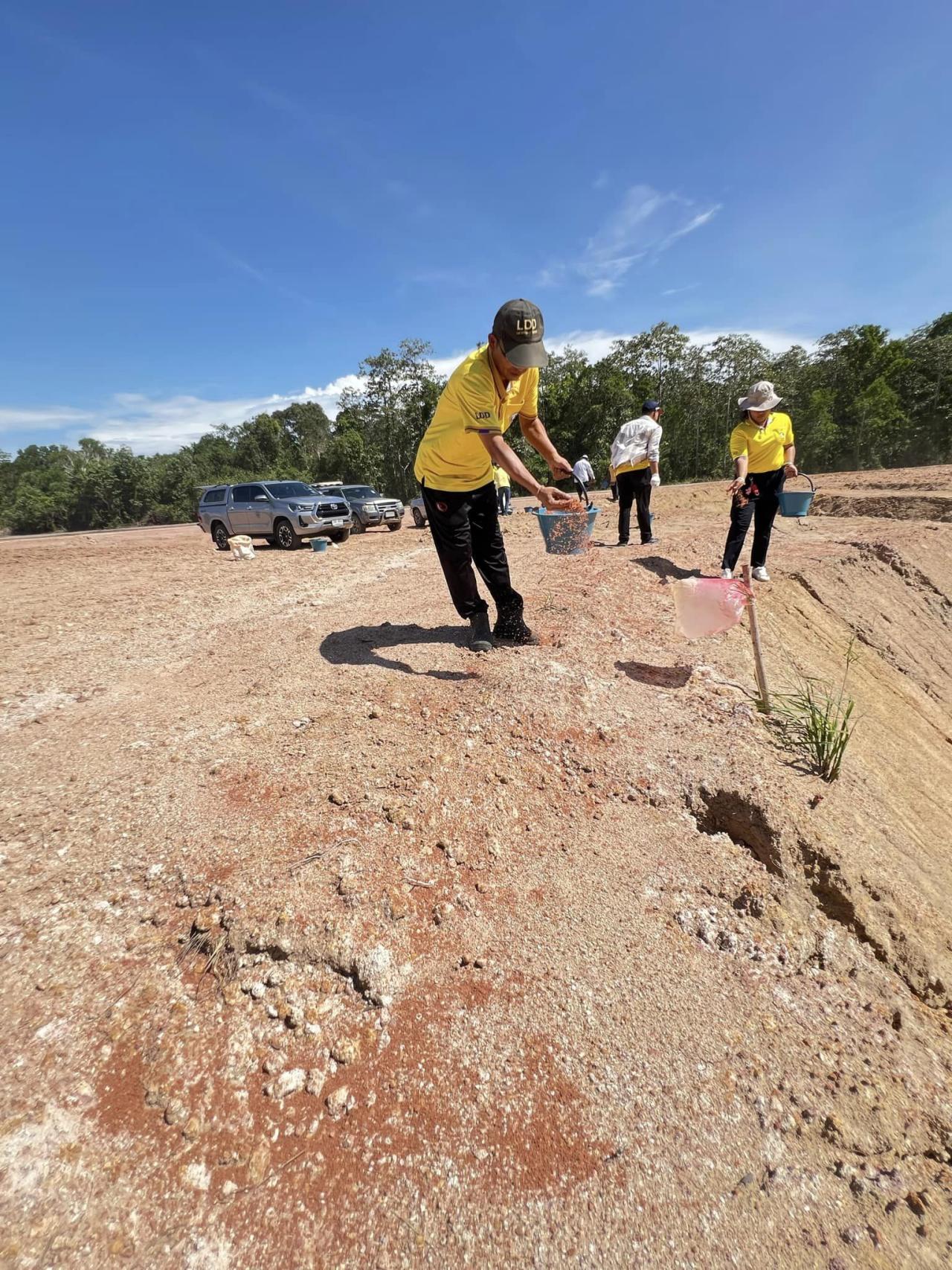 ภาพประกอบที่ 9