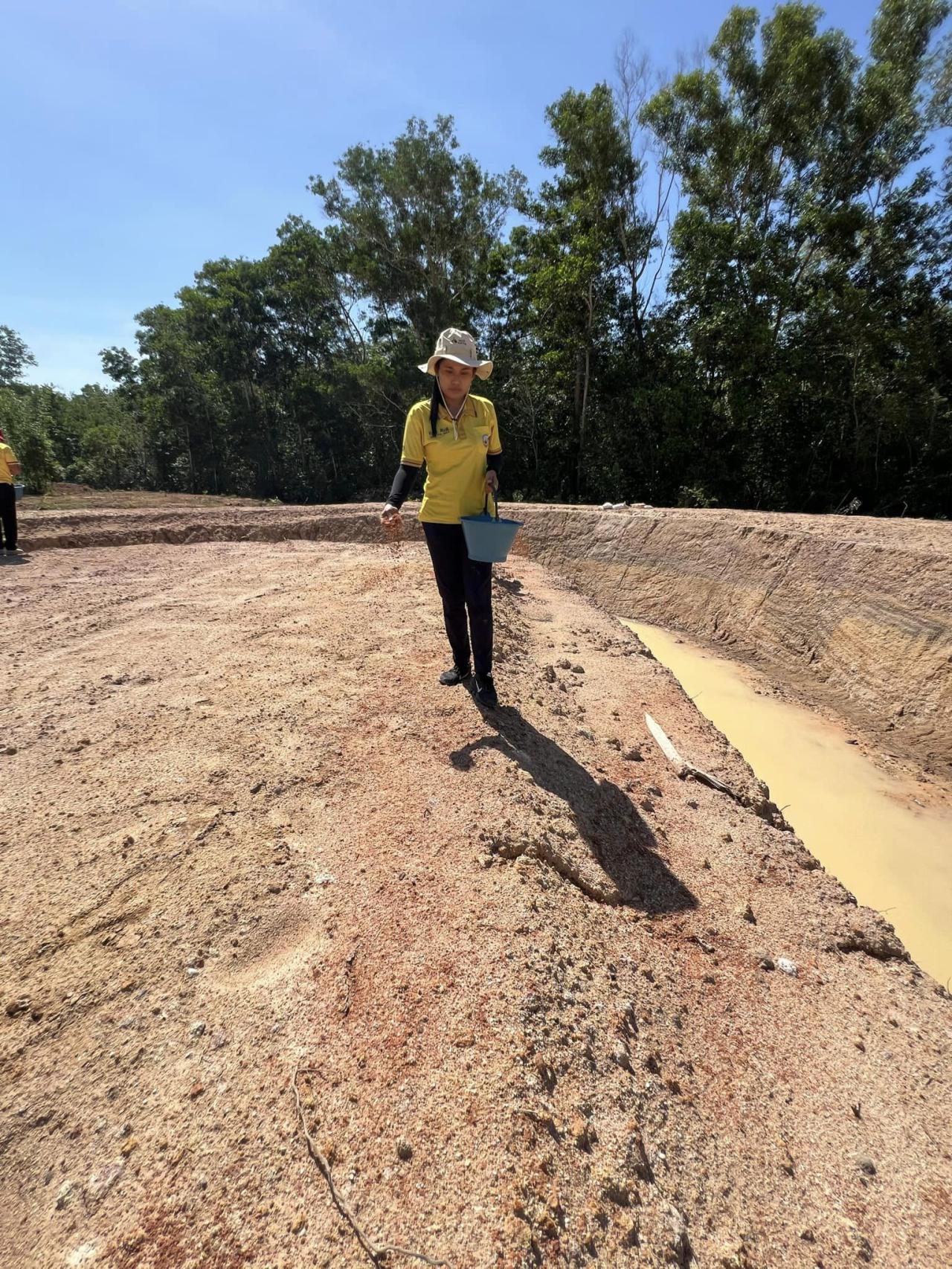 ภาพประกอบที่ 11