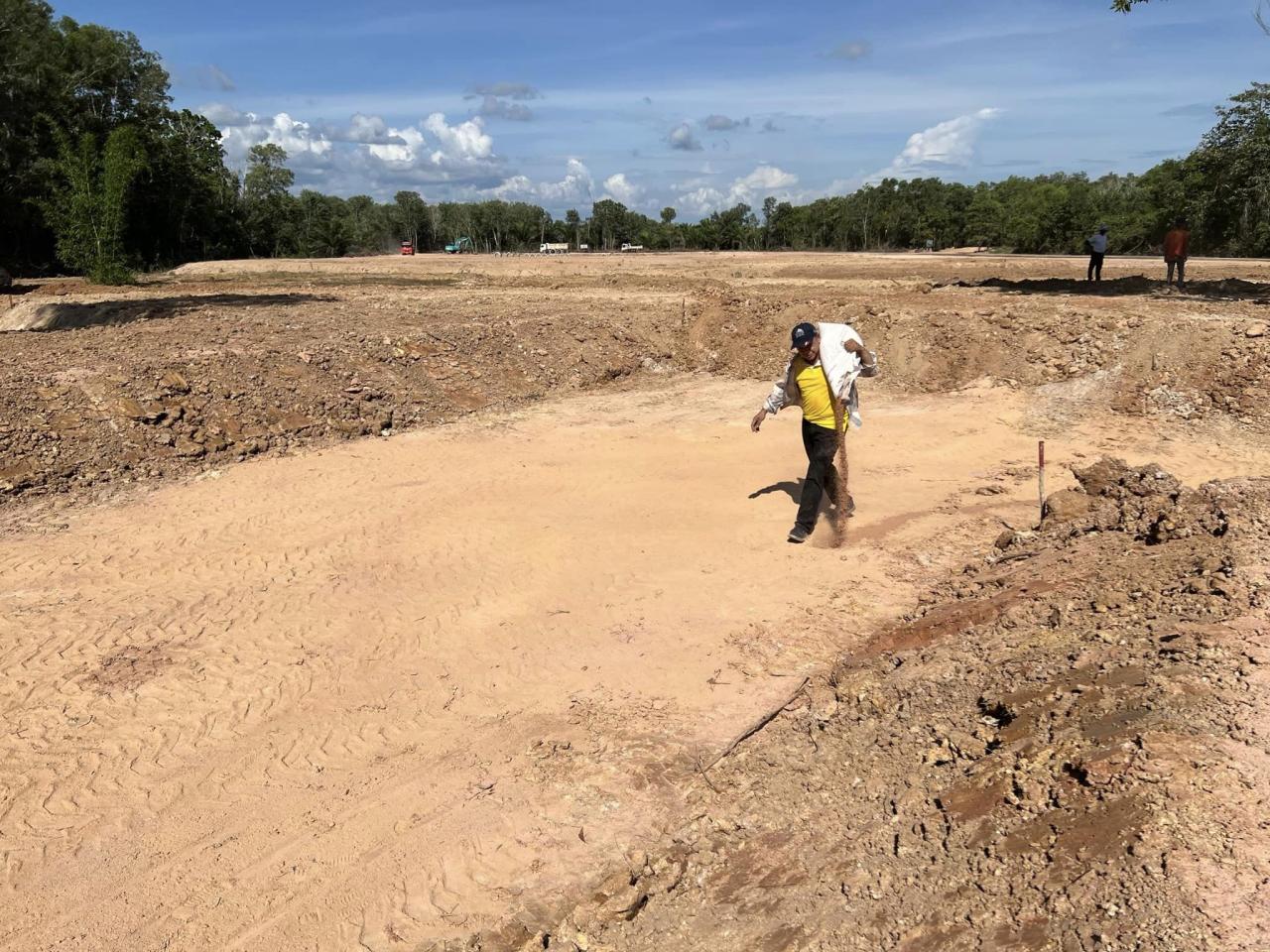 ภาพประกอบที่ 12