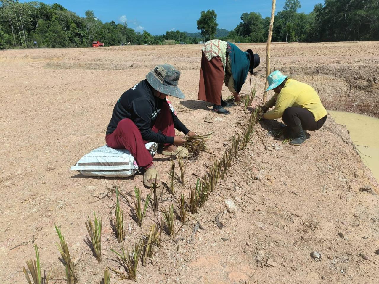 ภาพประกอบที่ 1