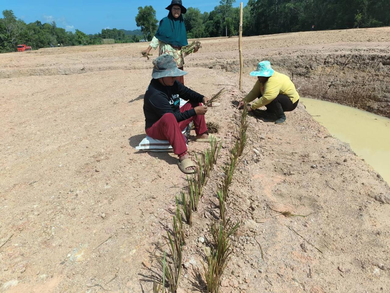 ภาพประกอบที่ 3