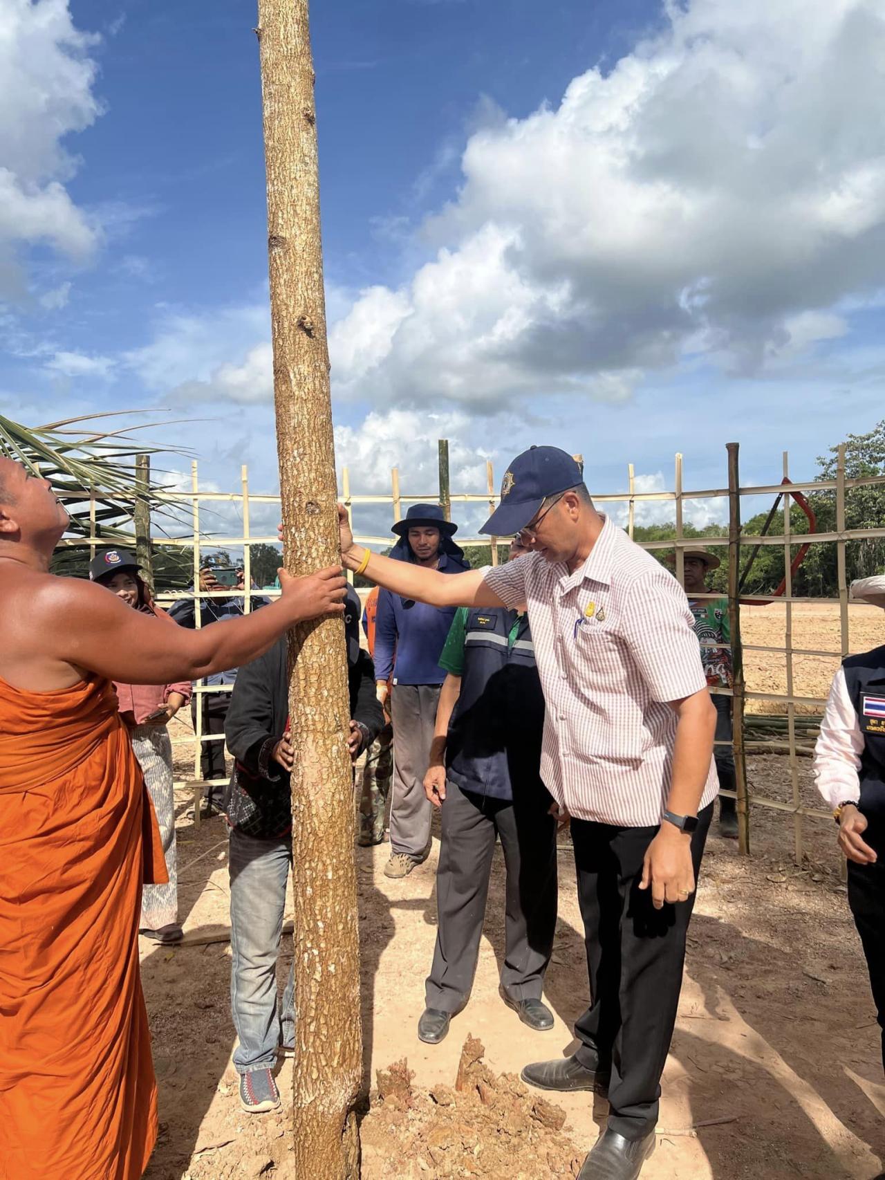 ภาพประกอบที่ 5