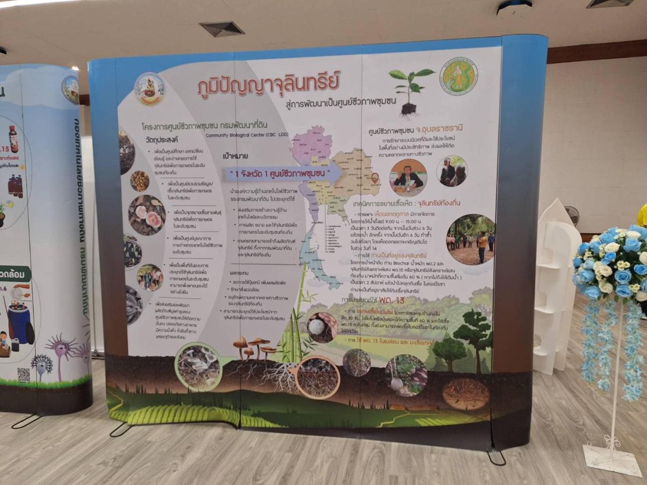 ภาพประกอบที่ 11