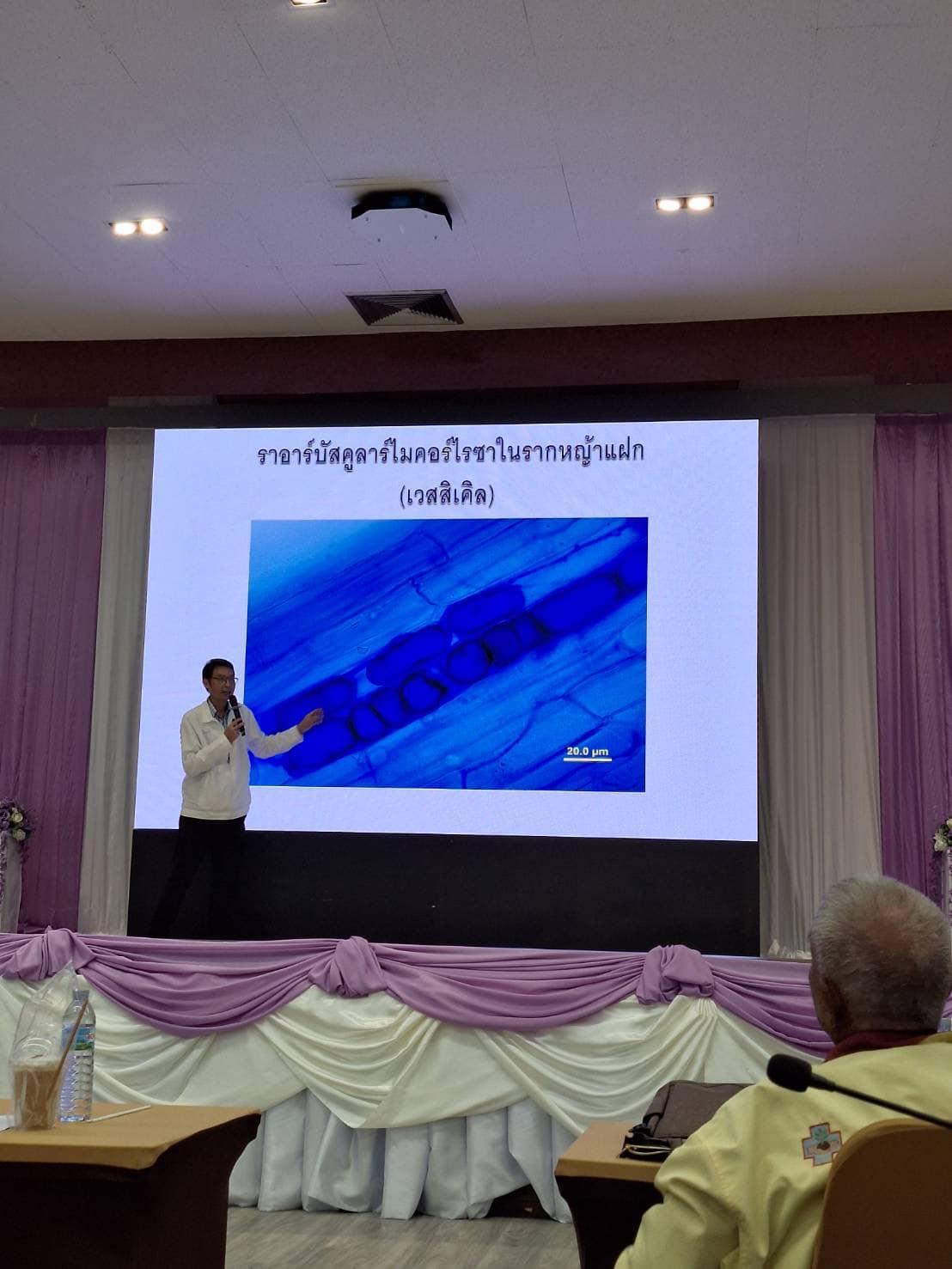 ภาพประกอบที่ 4